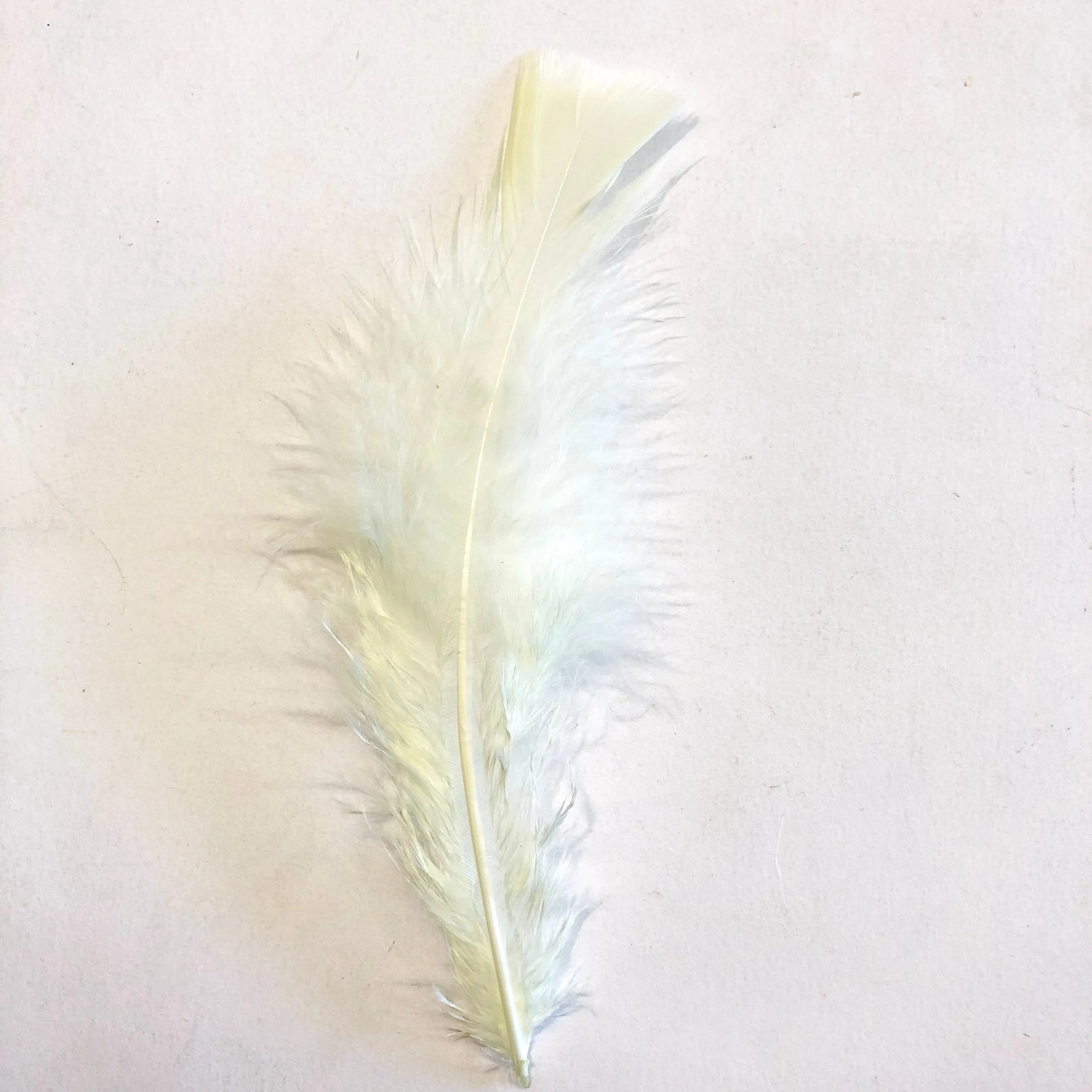Flat Top Marabou Feather Pack 10 grams - Lemon