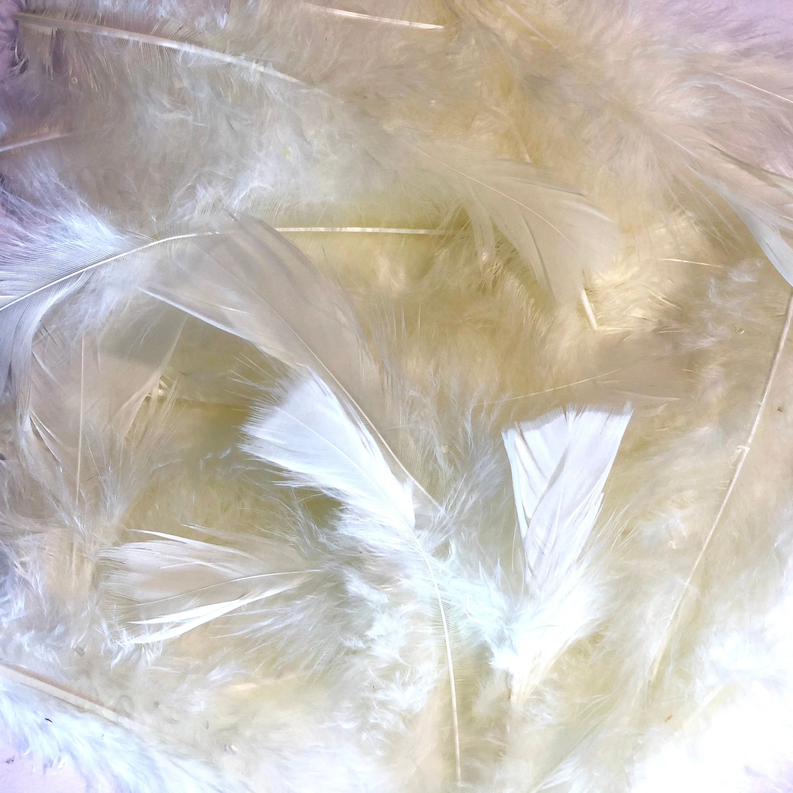 Flat Top Marabou Feather Pack 10 grams - Lemon