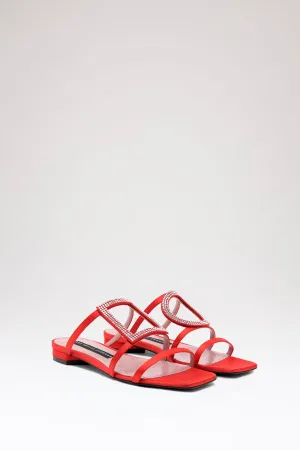 Red Hoya Flats